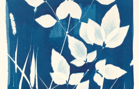 Cyanotype Basics