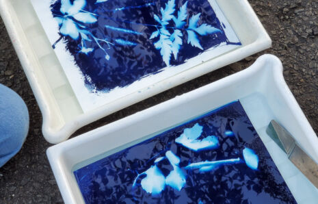 Cyanotype Workshop at THE TERMINAL KYOTO