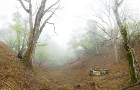 Secluded Spaces—Husk